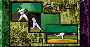 Baseball Screen