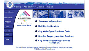 Central Stores Intranet Screen